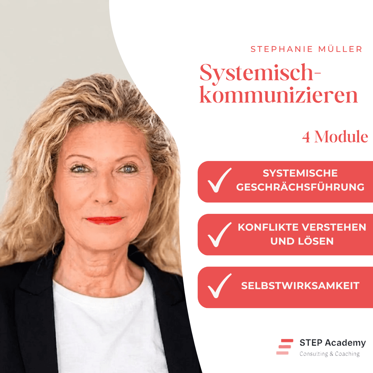 Systemisch kommunizieren – 4 Module mit Stephanie Müller